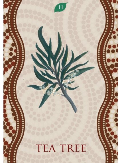 Aboriginal Healing Oracle kortos Rockpool 3 Aboriginal Healing Oracle kortos Rockpool 3