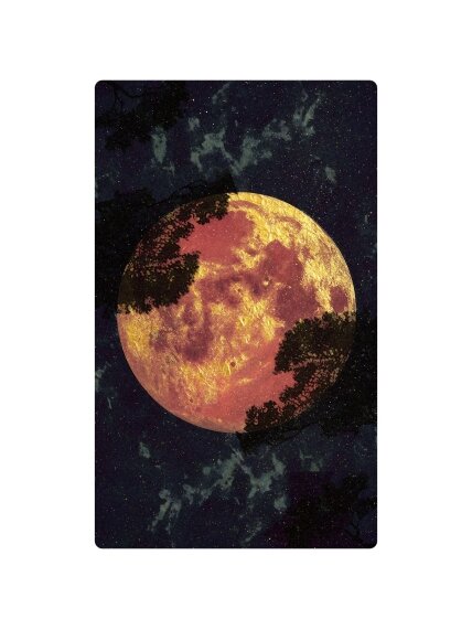 Amber Moon Tarot Kortos Dusserre 10