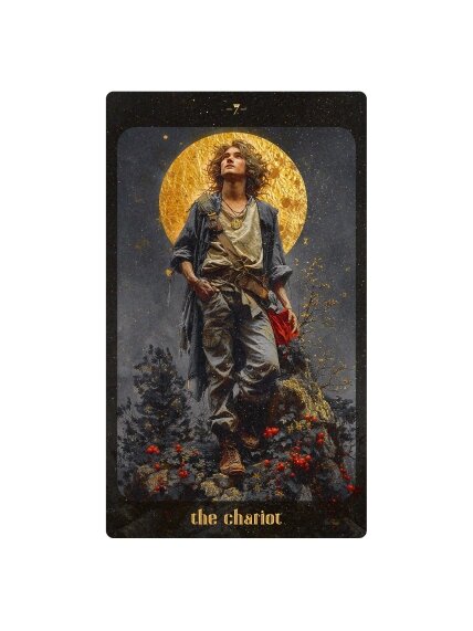 Amber Moon Tarot Kortos Dusserre 6