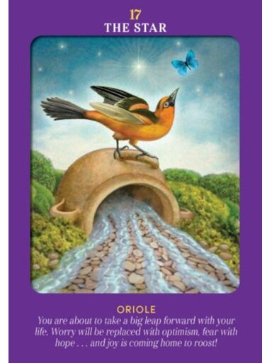 Animal Guides Tarot kortos Hay House