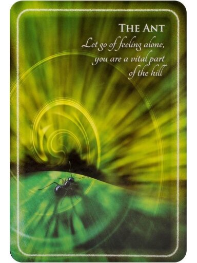 Animal Whispers Empowerment kortos Findhorn Press
