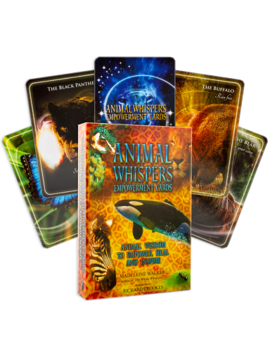 Animal Whispers Empowerment kortos Findhorn Press