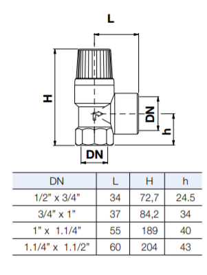 Apsauginis vožtuvas1/2" 6bar (10004703)