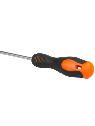 Atsuktuvas PZ1 x 100 mm