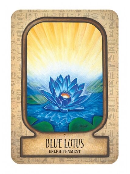 Auset Egyptian Oracle kortos Rockpool 3