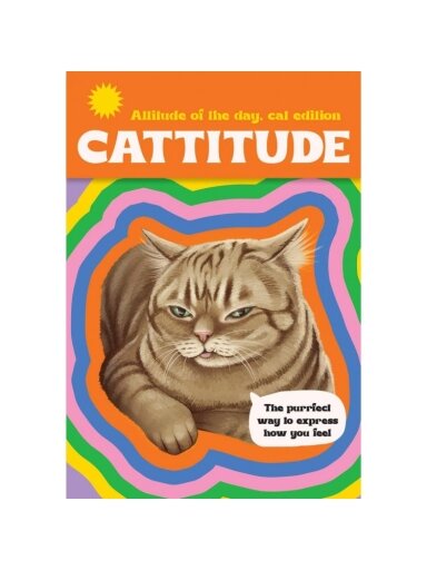 Cattitude kortos Rockpool Publishing