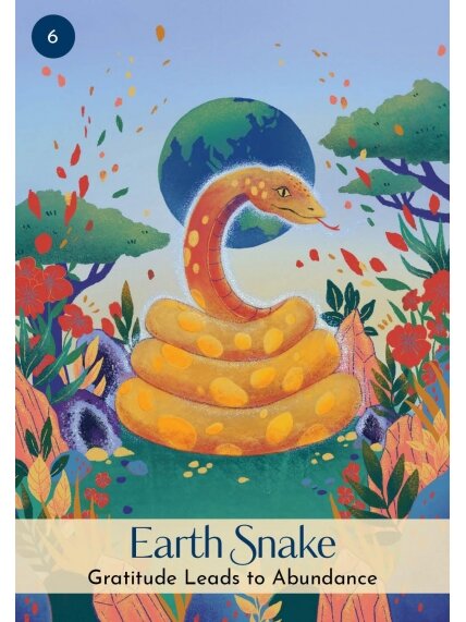 Chinese Five Elements Oracle kortos Hay House 6