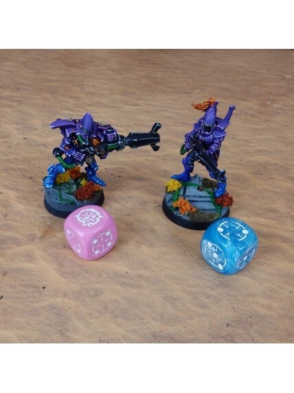 Crosshairs Compact D6 RPG kauliukų rinkinys (mėlynos ir rožinės sp.) 2