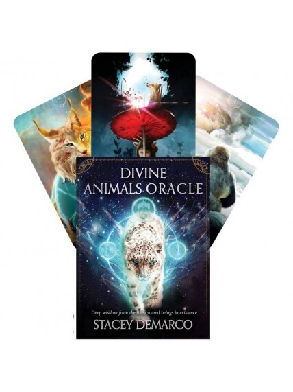 Divine Animals Oracle kortos Rockpool Divine Animals Oracle kortos Rockpool
