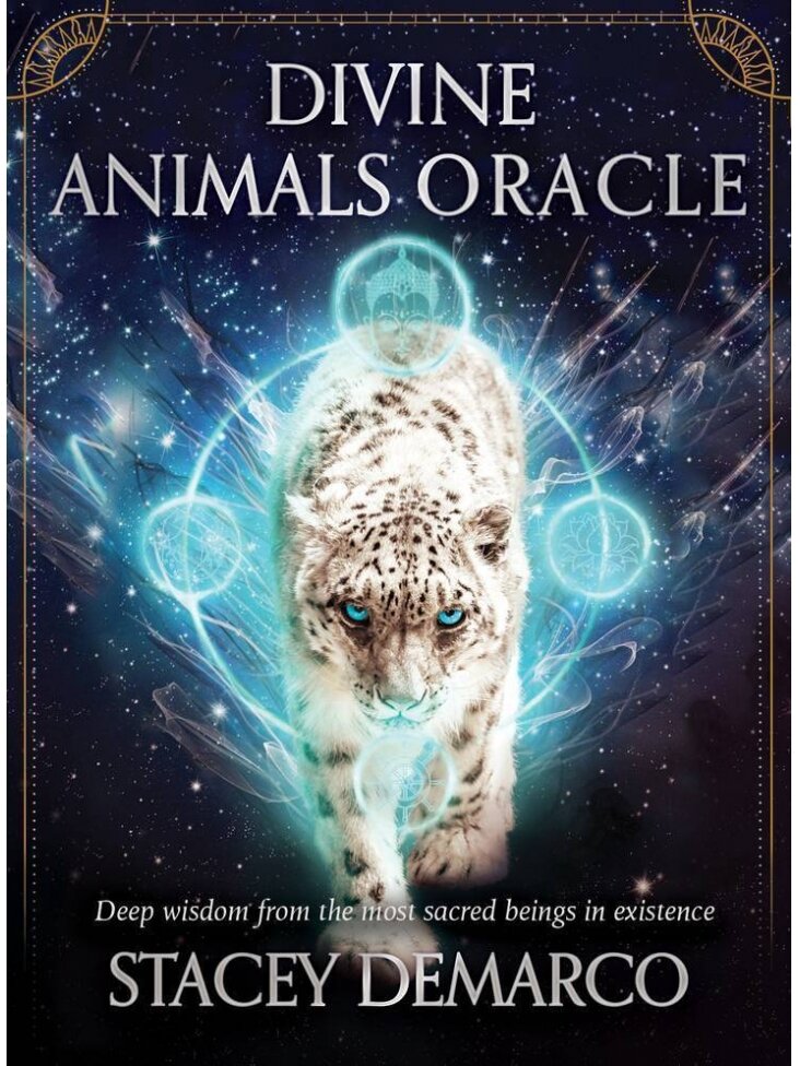 Divine Animals Oracle kortos Rockpool 1 Divine Animals Oracle kortos Rockpool 1