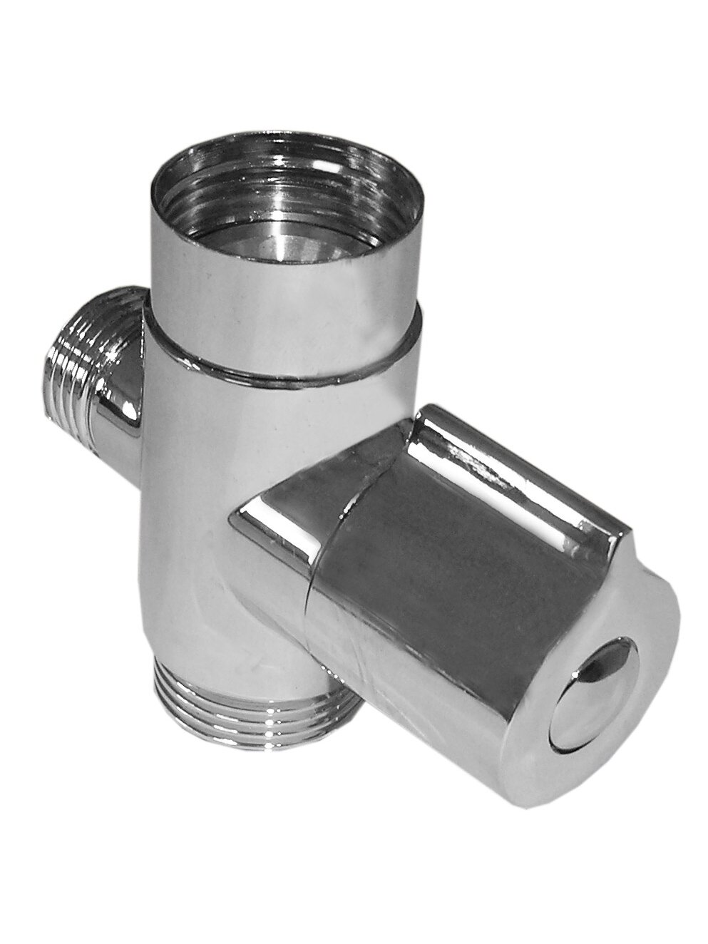 Divertorius A307