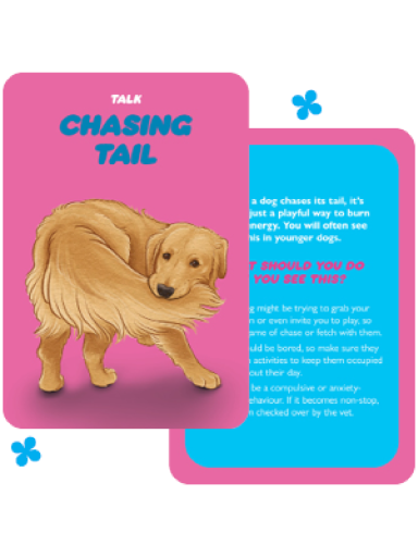 Dog Speak kortos Rockpool Publishing