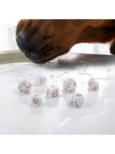 DOGS: Charlie kauliukų rinkinys