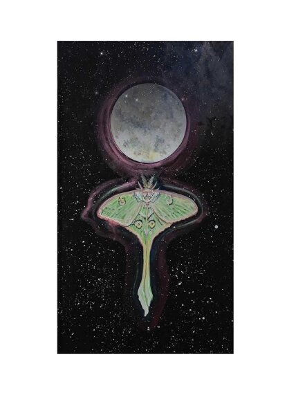 Dream Wisdom Oracle kortos Destiny Books 1 Dream Wisdom Oracle kortos Destiny Books 1