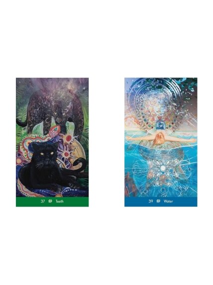 Dream Wisdom Oracle kortos Destiny Books 3