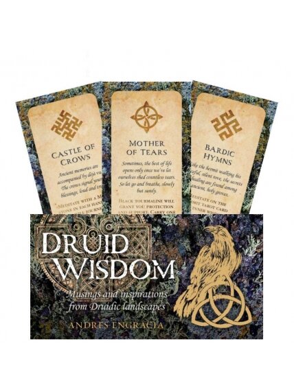 Druid Wisdom Inspiration kortos Rockpool