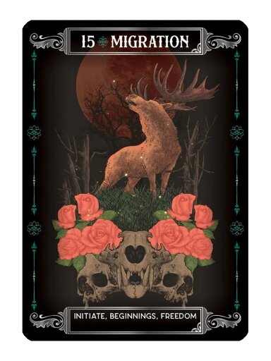 Earth & Bone Oracle kortos Rockpool