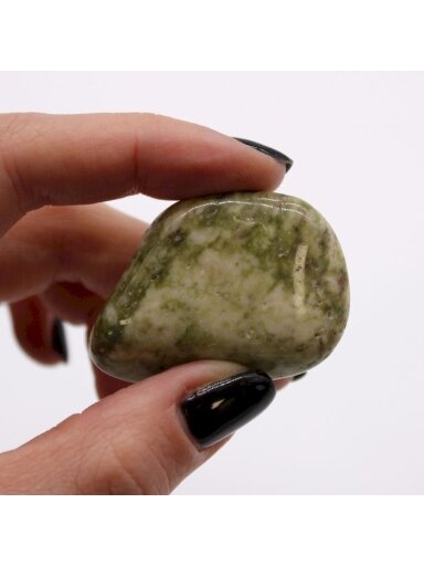 Epidote Snowflake akmuo (6 vnt. L dydžio) Ancient Wisdom