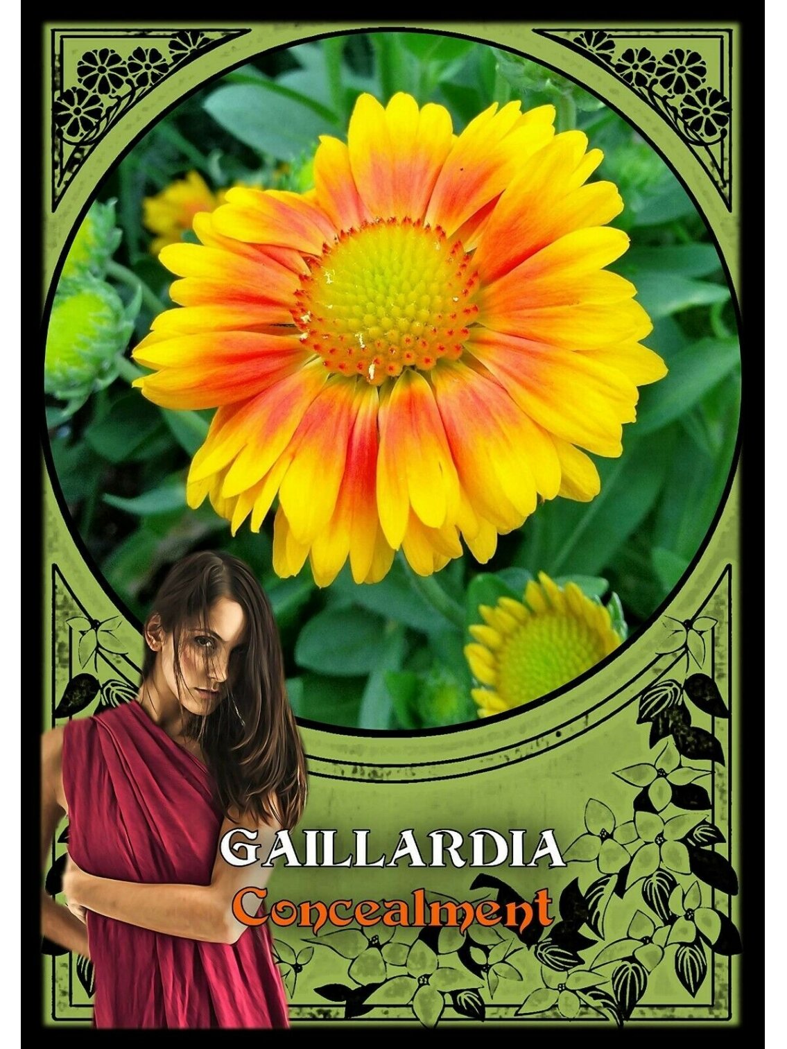 Flower Magic Oracle Kortos Solarus 4 Flower Magic Oracle Kortos Solarus 4