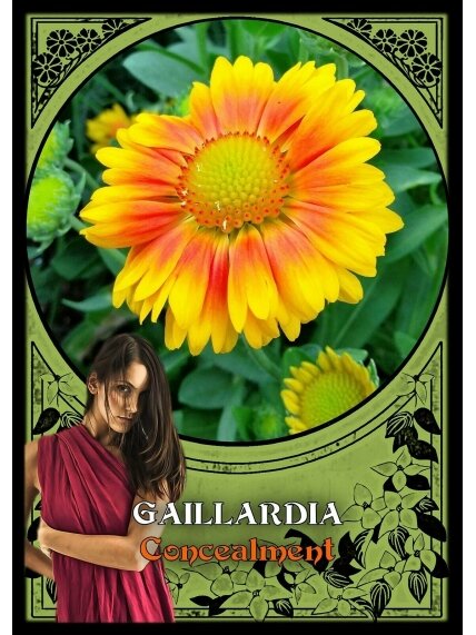 Flower Magic Oracle Kortos Solarus 4