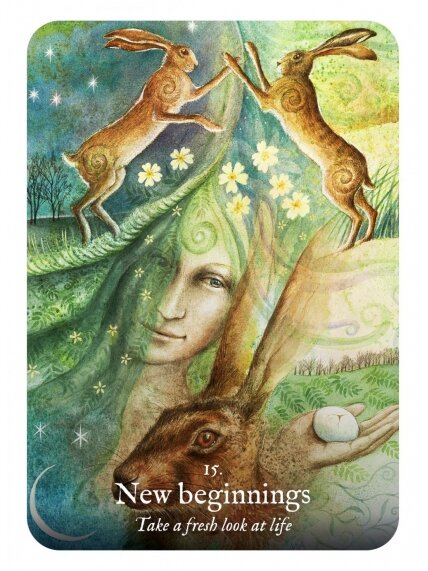 Goddess Dream Oracle kortos Rockpool 3 Goddess Dream Oracle kortos Rockpool 3