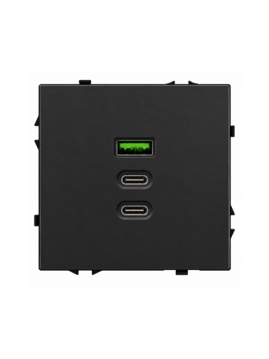 Greito krovimo USB rozetė su A+C+C jungtimis Feelspot FSACC65B, 65 W, juoda