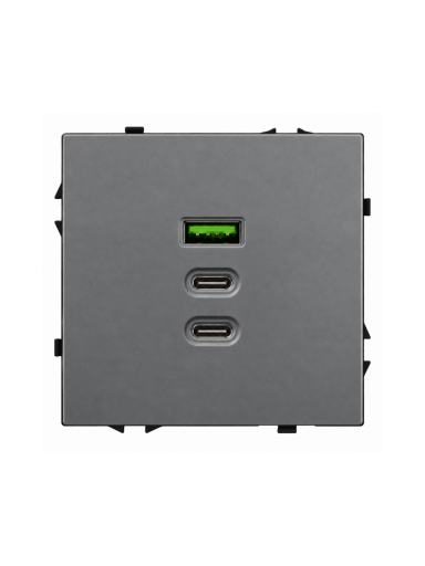 Greito krovimo USB rozetė su A+C+C jungtimis Feelspot FSACC65G, 65 W, pilka