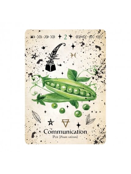 Green Witch Oracle kortos Rockpool 1 Green Witch Oracle kortos Rockpool 1