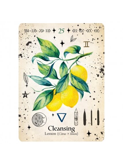 Green Witch Oracle kortos Rockpool 2