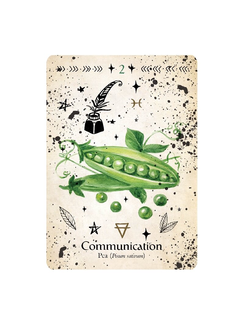 Green Witch Oracle kortos Rockpool 1 Green Witch Oracle kortos Rockpool 1