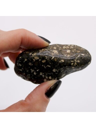 Guinea Fowl Large (6 vnt. L dydžio) Ancient Wisdom