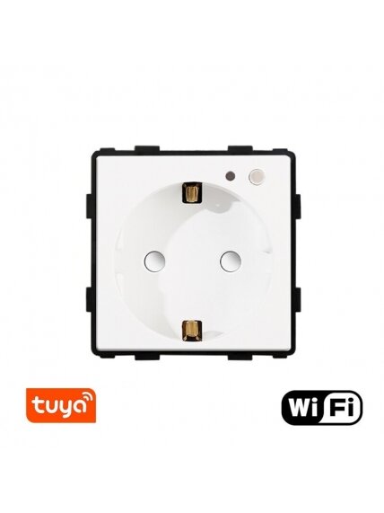 Kištukinis lizdas su sąnaudu matuokliu Feelspot, WiFi Tuya