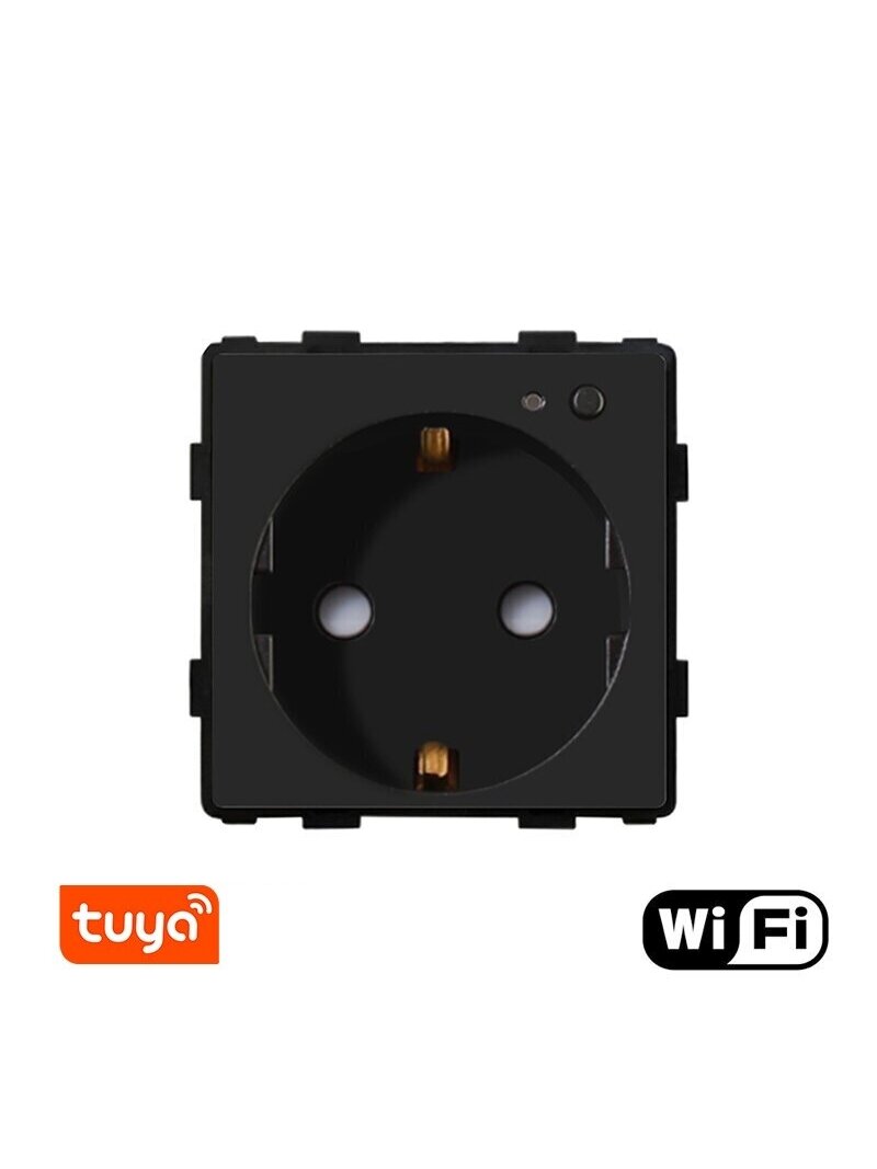 Kištukinis lizdas su sąnaudu matuokliu Feelspot, WiFi Tuya