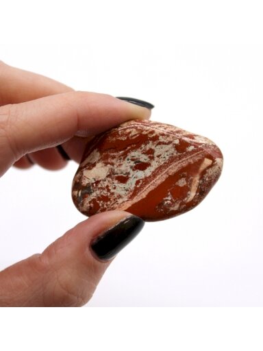 Light Jasper - Brecciated akmuo (6 vnt. L dydžio) Ancient Wisdom