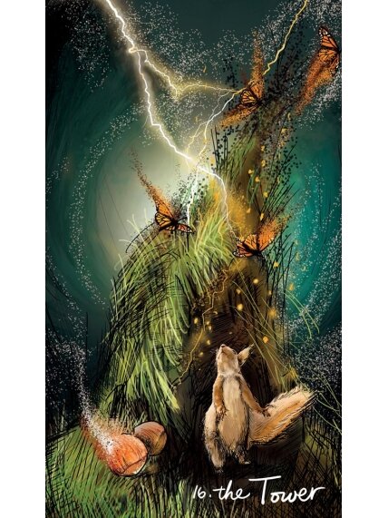 Light Seer Pocket Tarot kortos Hay House 3