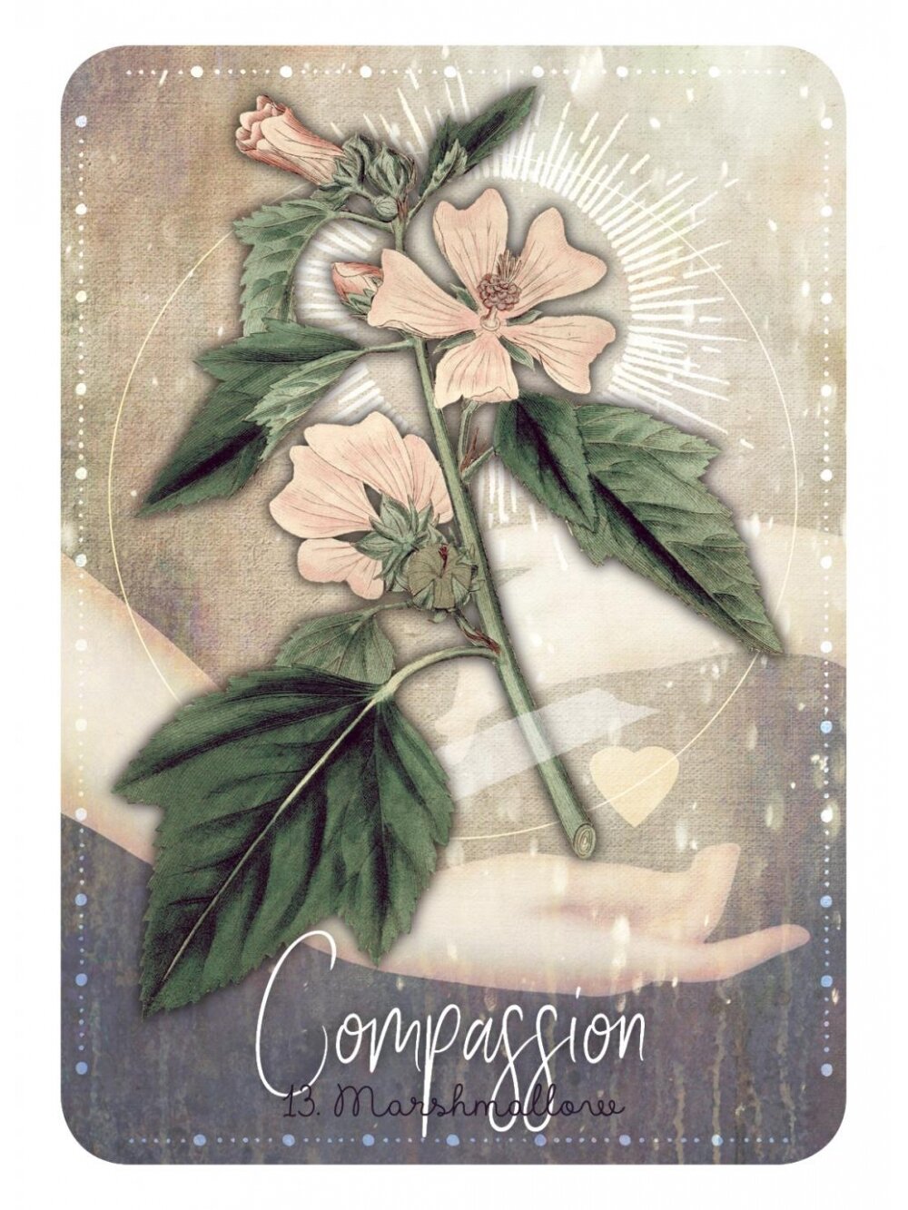 Magickal Herb Oracle kortos Rockpool 3 Magickal Herb Oracle kortos Rockpool 3