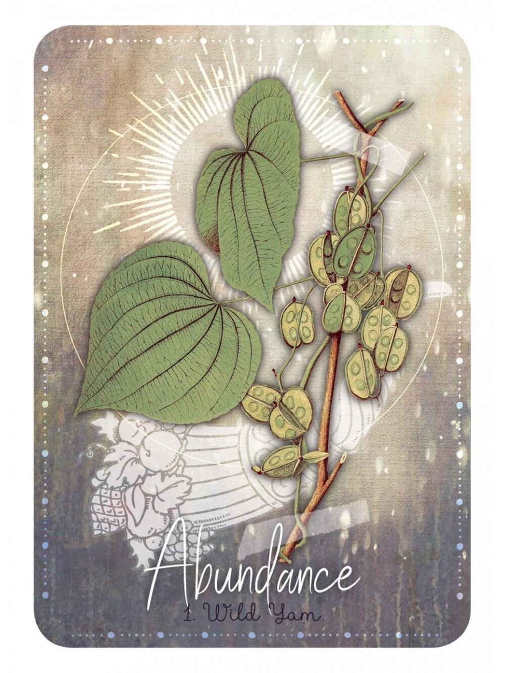 Magickal Herb Oracle kortos Rockpool 5 Magickal Herb Oracle kortos Rockpool 5