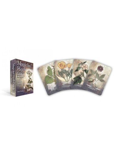 Magickal Herb Oracle kortos Rockpool