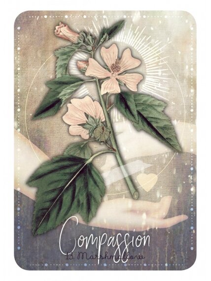 Magickal Herb Oracle kortos Rockpool 3 Magickal Herb Oracle kortos Rockpool 3