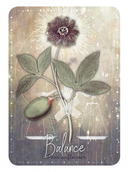 Magickal Herb Oracle kortos Rockpool 4 Magickal Herb Oracle kortos Rockpool 4
