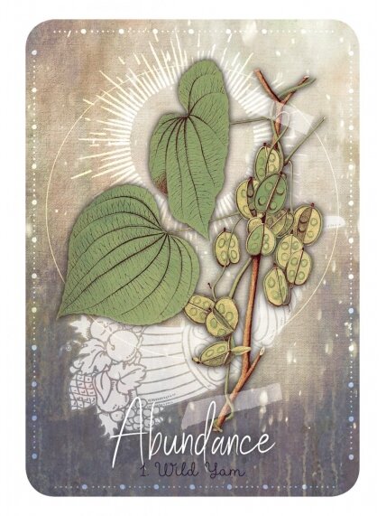 Magickal Herb Oracle kortos Rockpool 5 Magickal Herb Oracle kortos Rockpool 5