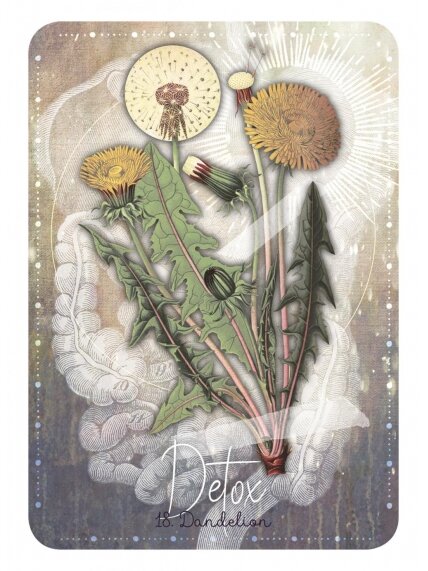 Magickal Herb Oracle kortos Rockpool 6 Magickal Herb Oracle kortos Rockpool 6