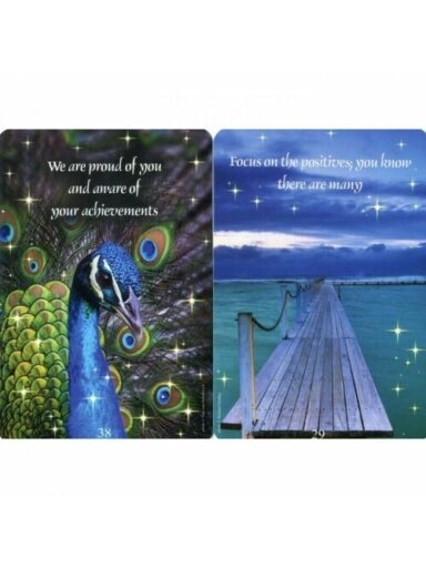 Messages from heaven communication komunikacijos kortos Findhorn Press