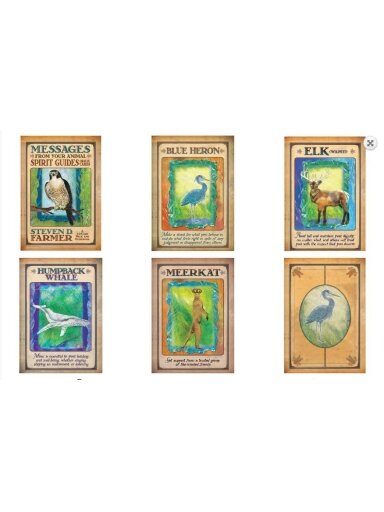 Messages From Your Animal Spirit Guides Oracle kortos Hay House