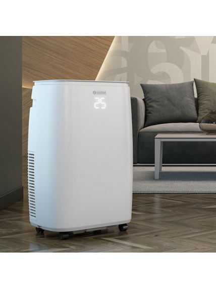 Mobilus oro kondicionierius Dolceclima Brezza 14 HP WiFi 3