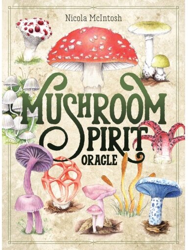 Mushroom Spirit Oracle kortos Rockpool Publishing