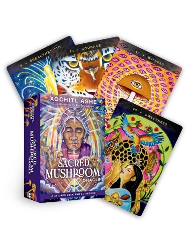 Sacred Mushroom Oracle kortos Hay House