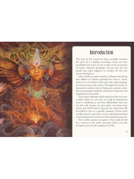 Shamanic Oracle kortos Rockpool Publishing 11
