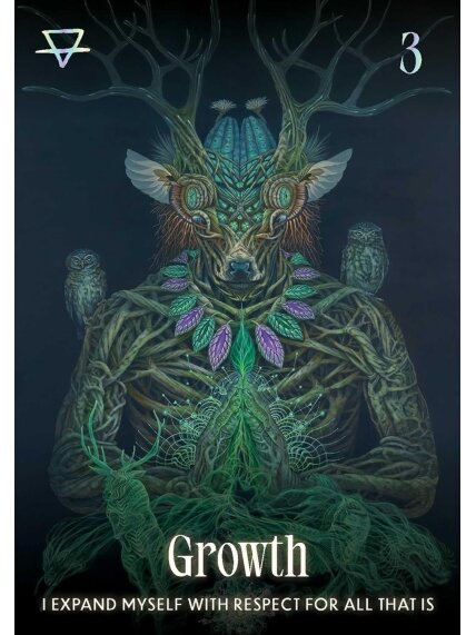 Shamanic Oracle kortos Rockpool Publishing 4 Shamanic Oracle kortos Rockpool Publishing 4