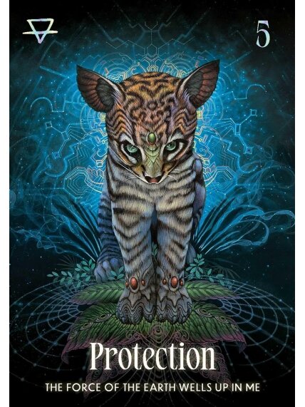 Shamanic Oracle kortos Rockpool Publishing 5 Shamanic Oracle kortos Rockpool Publishing 5